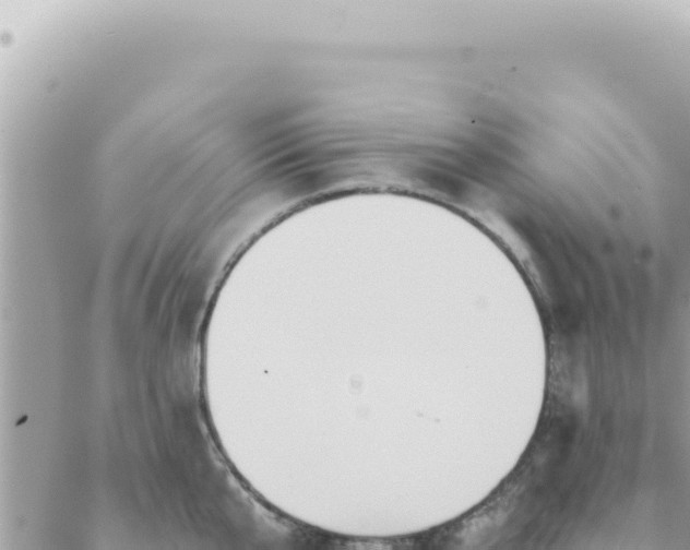 X0000088610807200706011226