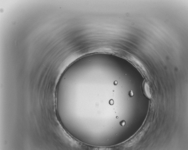 X0000088610808200706011226