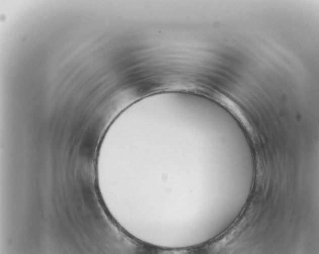 X0000088610810200706011226