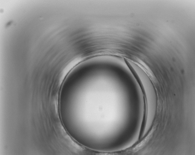 X0000088610812200706011226