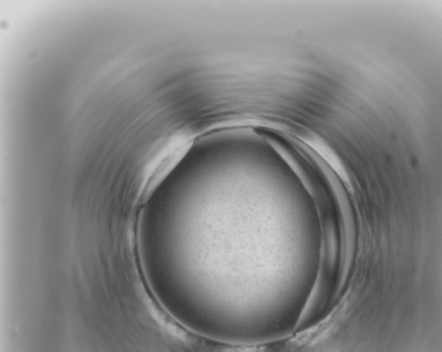 X0000088610813200706011226