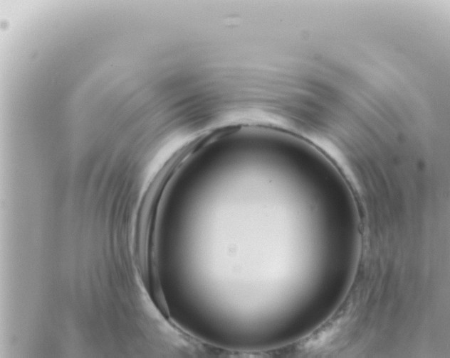 X0000088610815200706011226