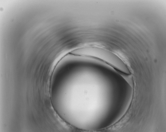 X0000088610816200706011226