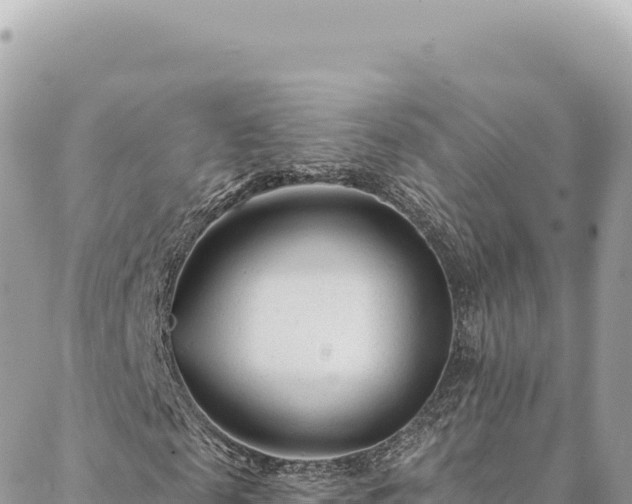 X0000088610817200706011225