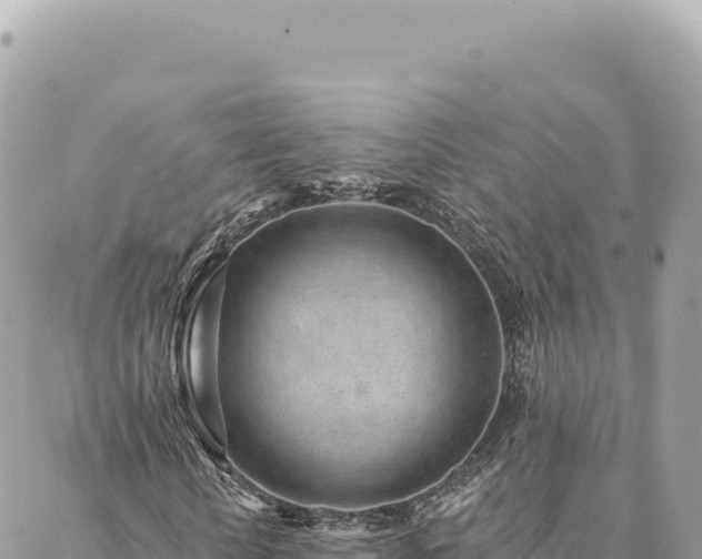 X0000088610818200706011225