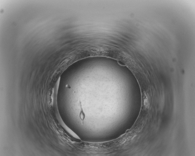 X0000088610819200706011225