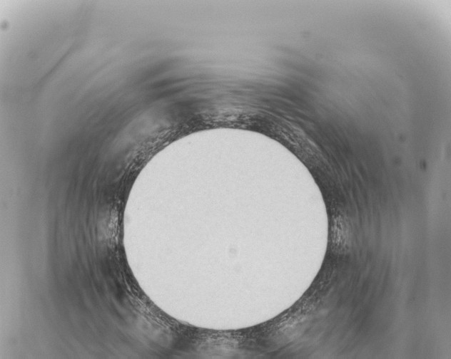 X0000088610820200706011225