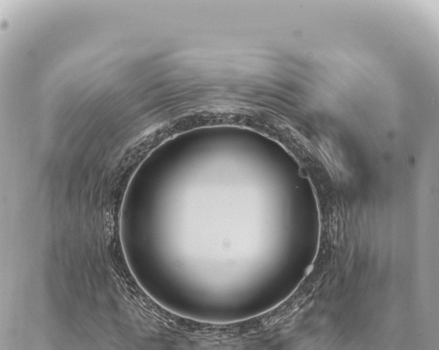 X0000088610821200706011225