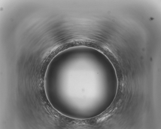 X0000088610822200706011225