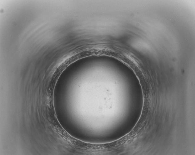 X0000088610823200706011225