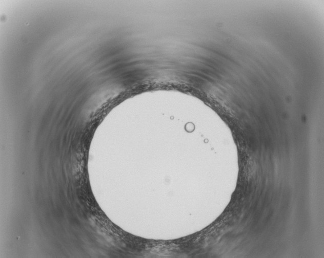 X0000088610824200706011225