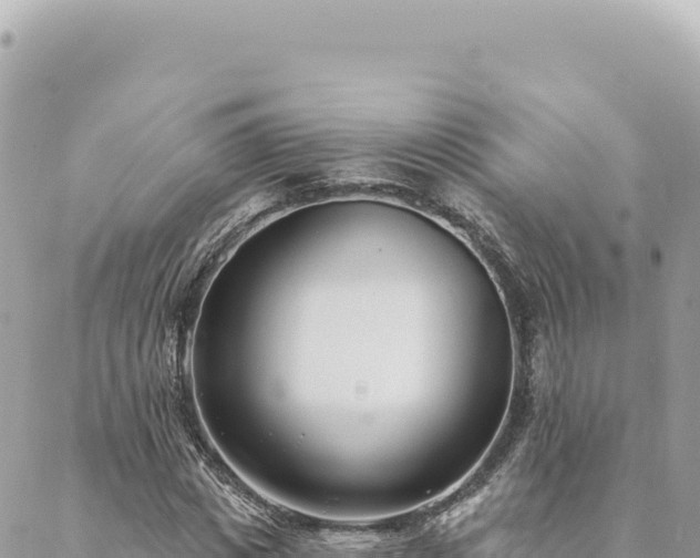 X0000088610825200706011225