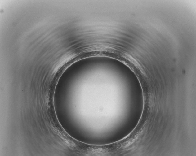 X0000088610826200706011225