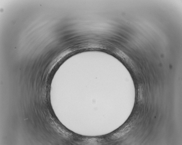 X0000088610828200706011225