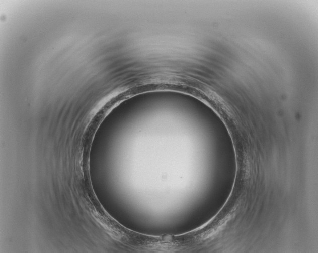 X0000088610830200706011225