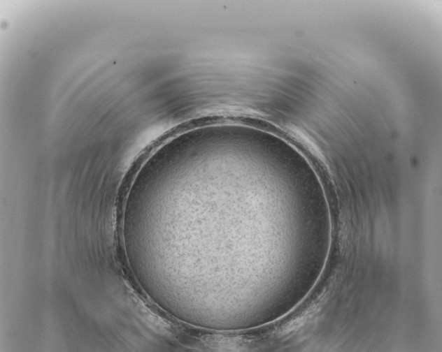 X0000088610831200706011225