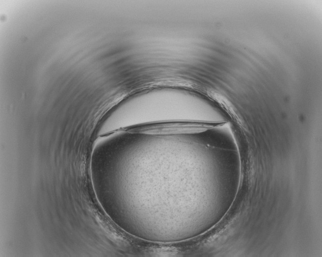 X0000088610833200706011225