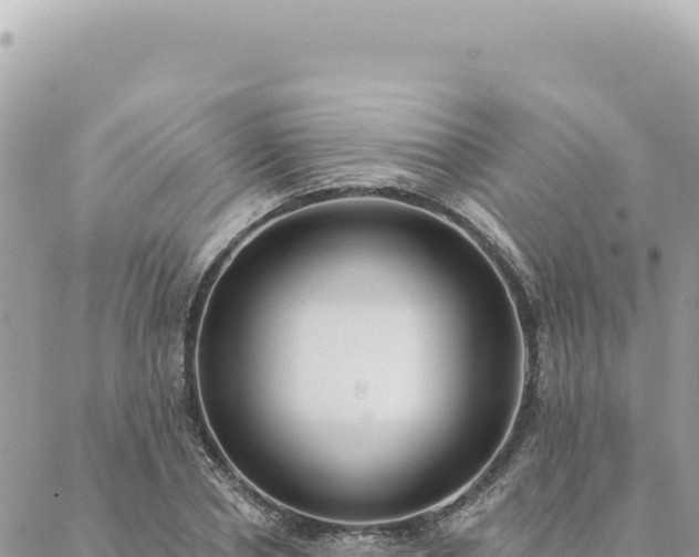 X0000088610834200706011225