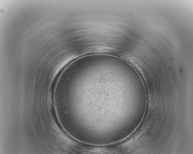 X0000088610835200706011225