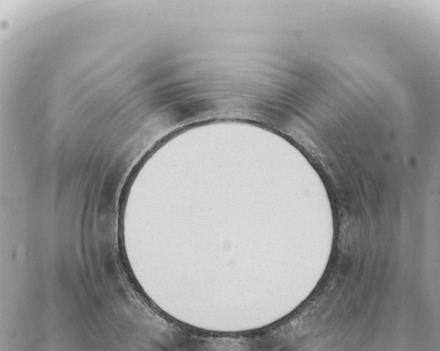 X0000088610836200706011225