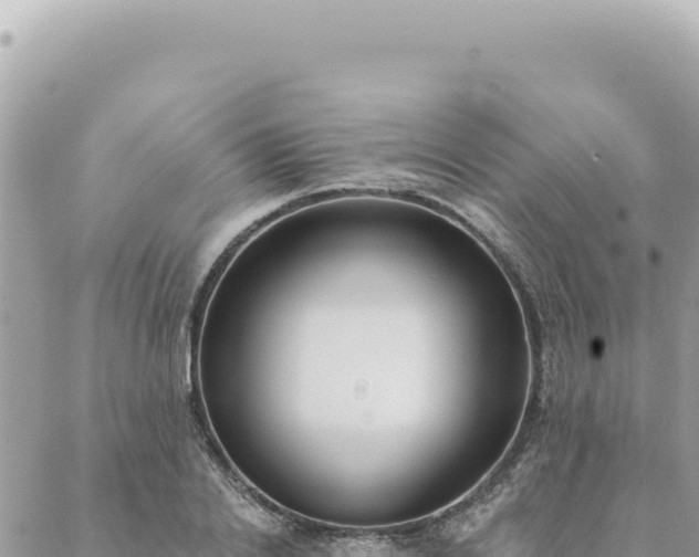 X0000088610838200706011225