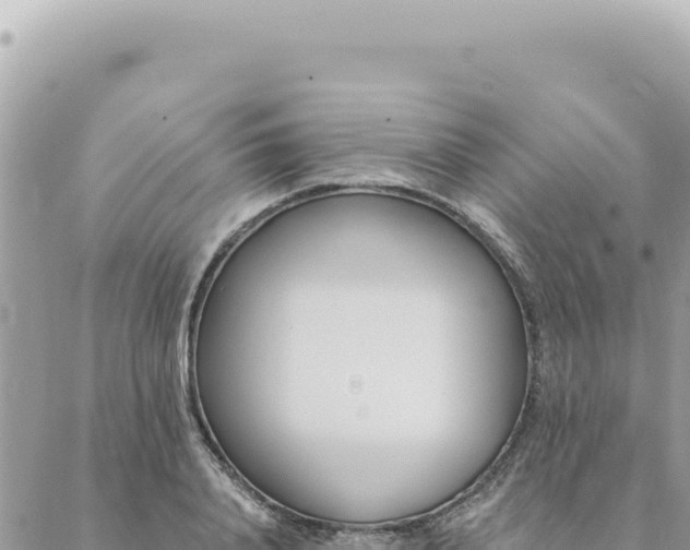 X0000088610840200706011225