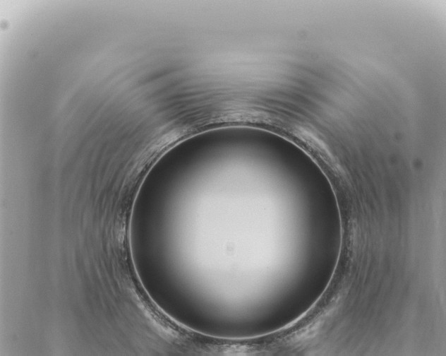 X0000088610841200706011225