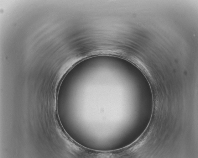 X0000088610844200706011225