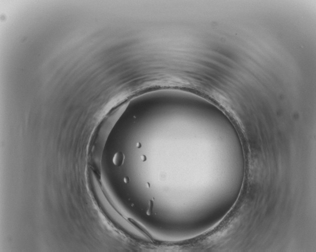 X0000088610845200706011225