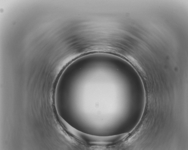 X0000088610846200706011225