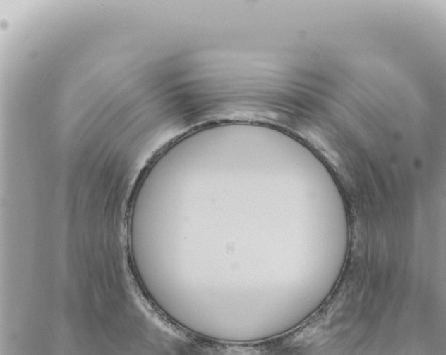 X0000088610848200706011226