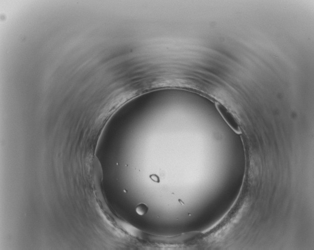 X0000088610849200706011226