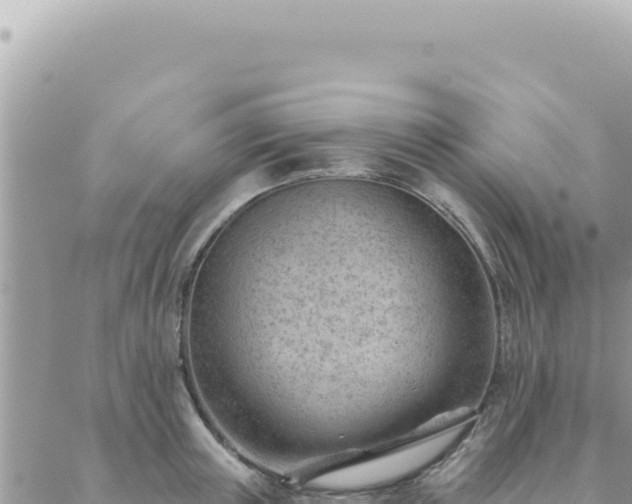 X0000088610851200706011226