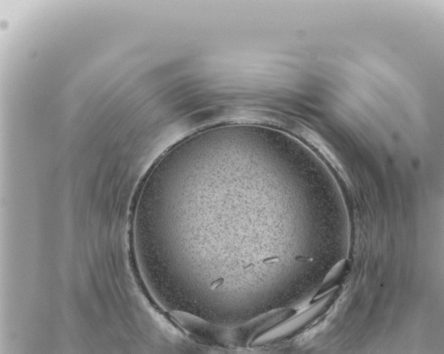 X0000088610853200706011226