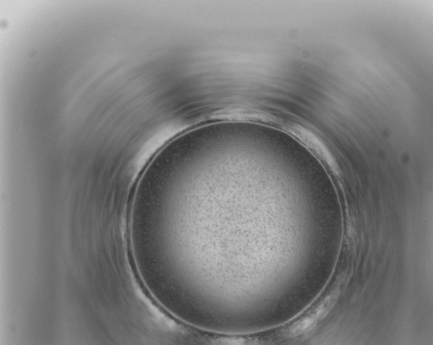 X0000088610855200706011226