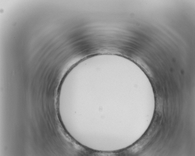 X0000088610856200706011226