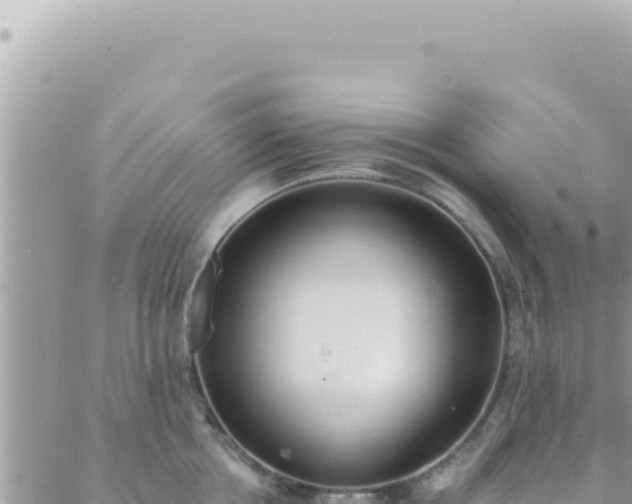 X0000088610858200706011226