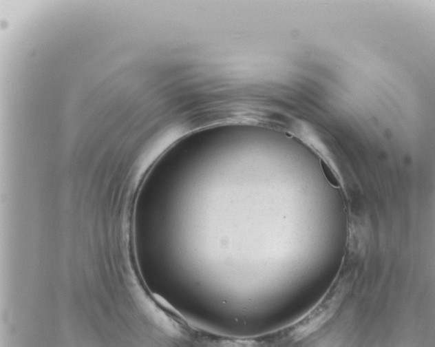 X0000088610859200706011226