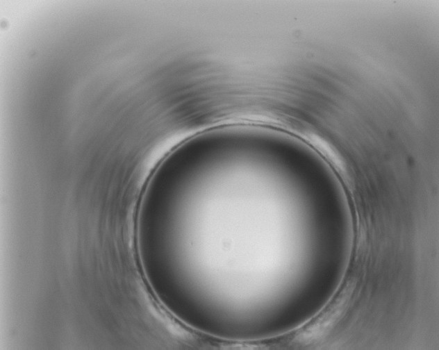 X0000088610862200706011226