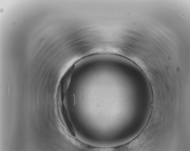 X0000088610864200706011226