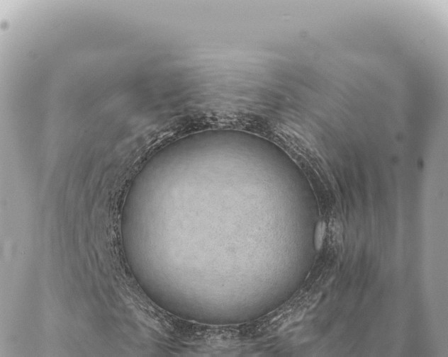 X0000088610865200706011225