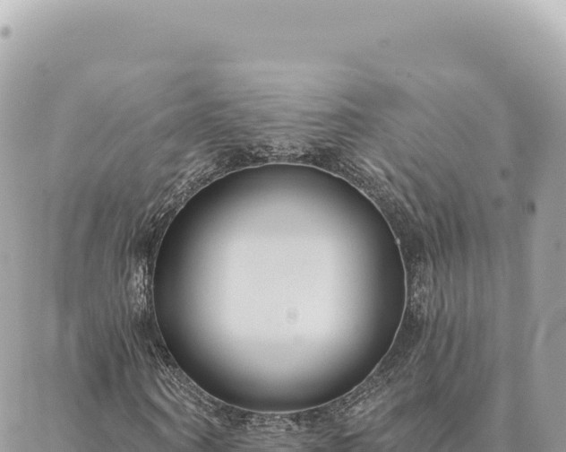 X0000088610866200706011225