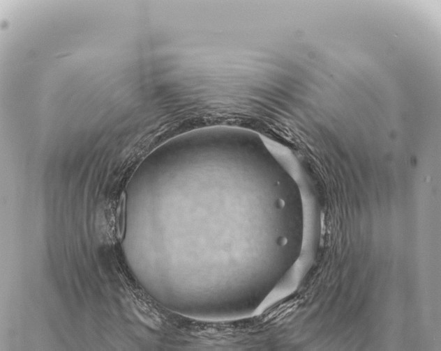 X0000088610868200706011225