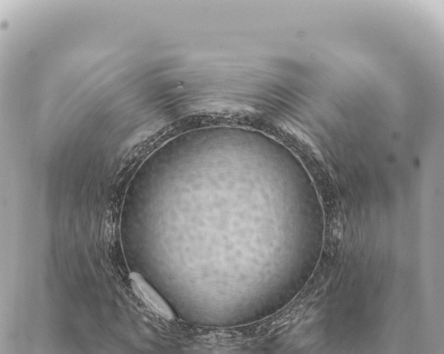 X0000088610869200706011225