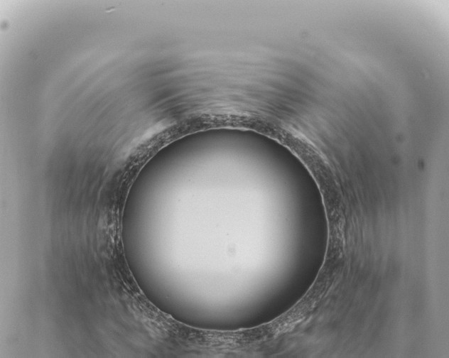 X0000088610870200706011225