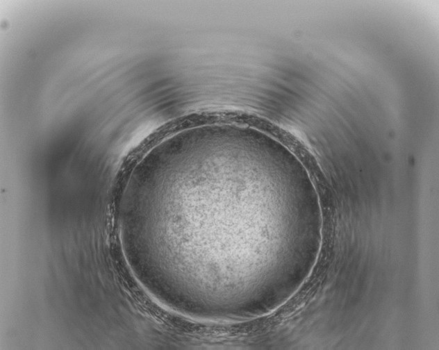 X0000088610871200706011225