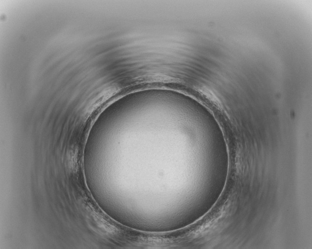 X0000088610873200706011225