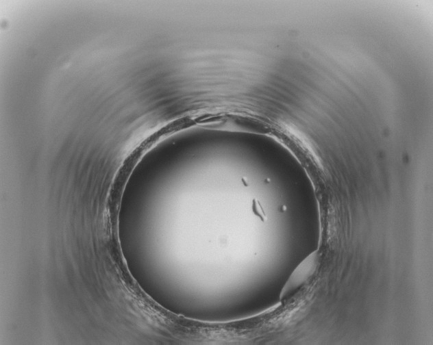 X0000088610876200706011225