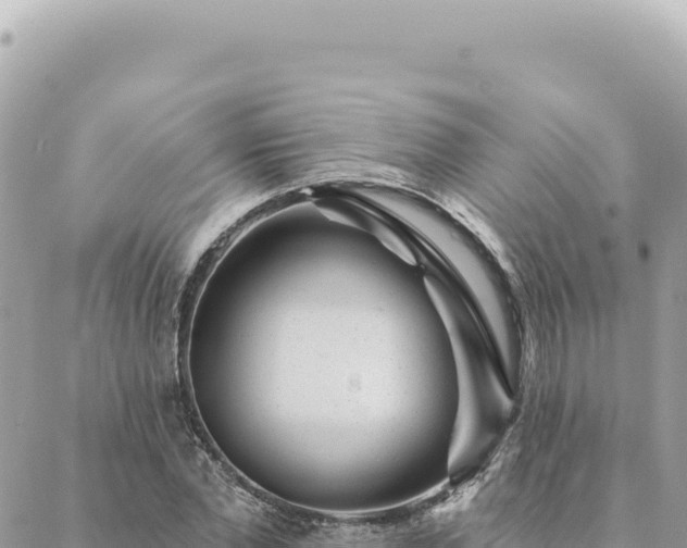 X0000088610877200706011225