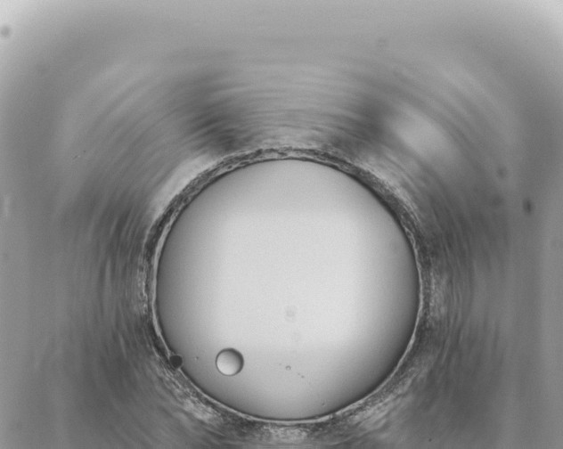 X0000088610878200706011225